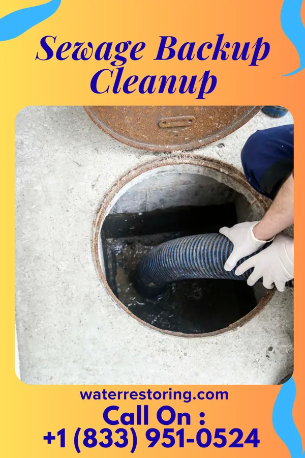 Sewage Backup Cleanup in Methuen Town, MA